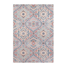 Entry Way Rug