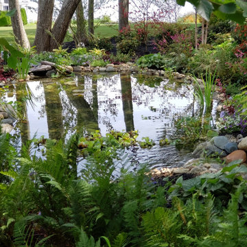 Pond and landscaping project