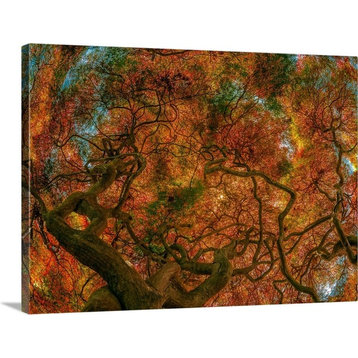 "Japanese Maple" Wrapped Canvas Art Print, 36"x26"x1.5"