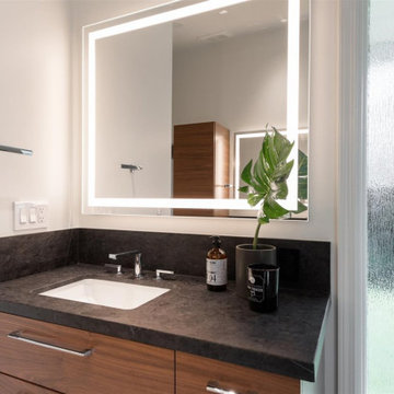 Midcentury Modern- Master Bathroom Remodel