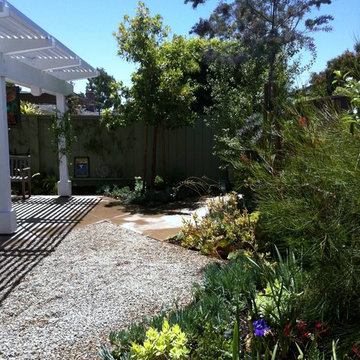 Small Costa Mesa Condo back yard