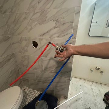 Bathroom Remo
