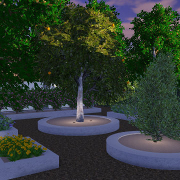 1 Acre in Gilbert & A Complete Landscape Transformation - Lush Outdoor Living