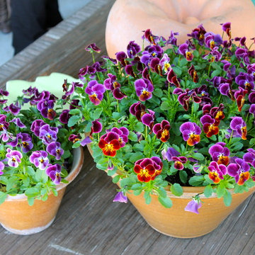 Spring posies, simple pleasures