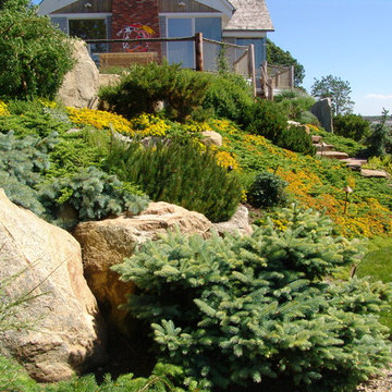 Narragansett Bay Overlook Gardens- Hillside Planting