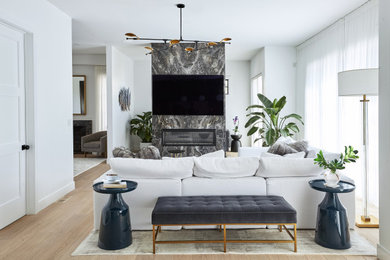 Example of a trendy family room design in New York with a media wall
