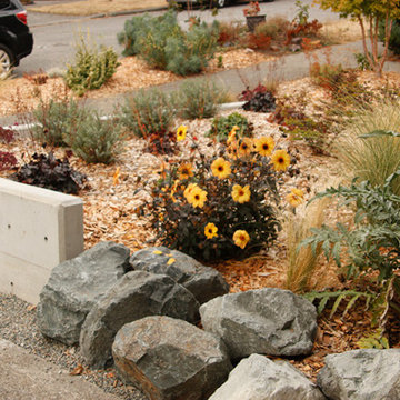 Front garden