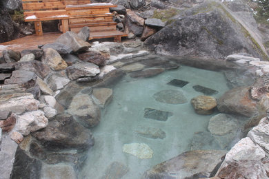 Mid-sized arts and crafts kidney-shaped natural hot tub photo in Other