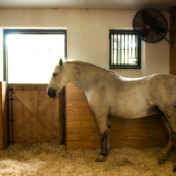 1928 Stone Milking Barns Conversion to stables