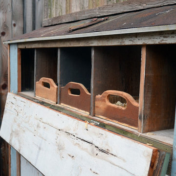 Dallas, TX: Greenman / Curvan Chicken Coop