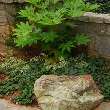Garden Ideas