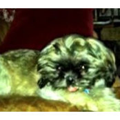 Constance Marie Roberson's photo