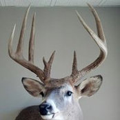 Luc Berndt's photo