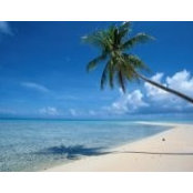 Fatina Malik's photo