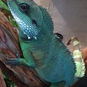 Sue Grimes's photo