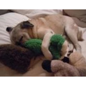 Michele Ploughman's photo