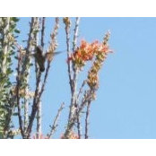 John Kornfeind's photo