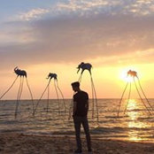 Jake Nguyen's photo