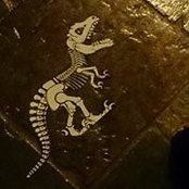 Meg Flentje's photo