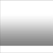 Michelle Pham's photo