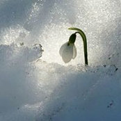 Genene Greenwell's photo