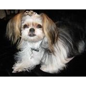 Judy Matherly's photo