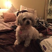 Sharon Pahl's photo