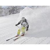 Mikael Grenros's photo