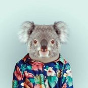 Gary Peaceさんの写真