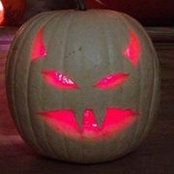 Jennifer Lauchlan's photo