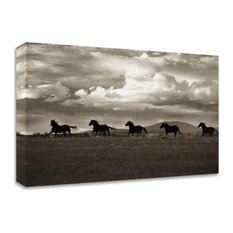 27 x 18 Racing the Clouds by Lisa Dearing- Wall Art Print on Canvas Fabric White