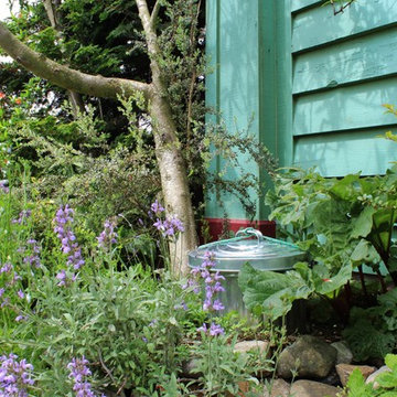 Seattle Organic Garden