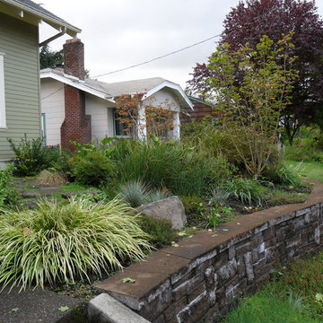 A Rain Garden Matures