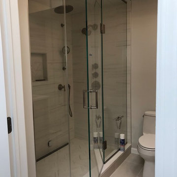 Steam shower door