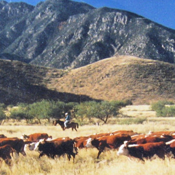 "Santa Rita Working Ranch" custom hand painted tile mural
