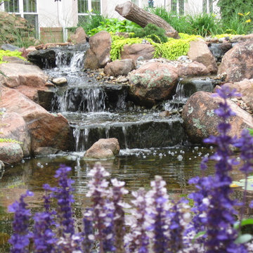 Koi Ponds and Water Gardens