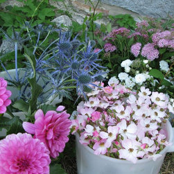 Flora Verdura - Products