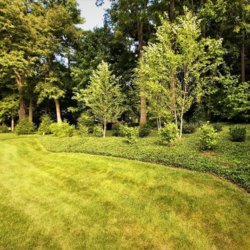 Lancaster comprehensive Landscape
