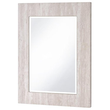 Furniture of America Thayer Wood Rectangular Beveled Wall Mirror in White