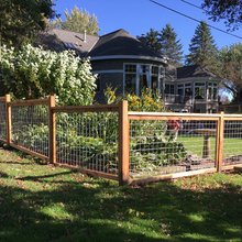 Fence options/looks