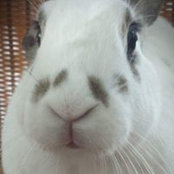 Michelle Meere's photo