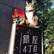 康hakus billede