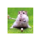 Robin R. Reed's photo
