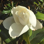 Marie Smith's photo
