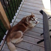 Guy Labrecque's photo