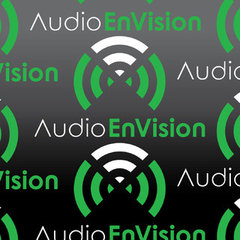 Audio EnVision LLC