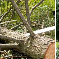 P.H. Ready Tree Service Construction & Landscaping