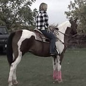 Britta Chitek's photo