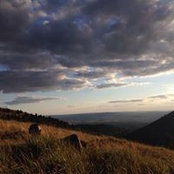 Joseph Riboh's photo