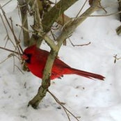 Lynda Kowalski's photo